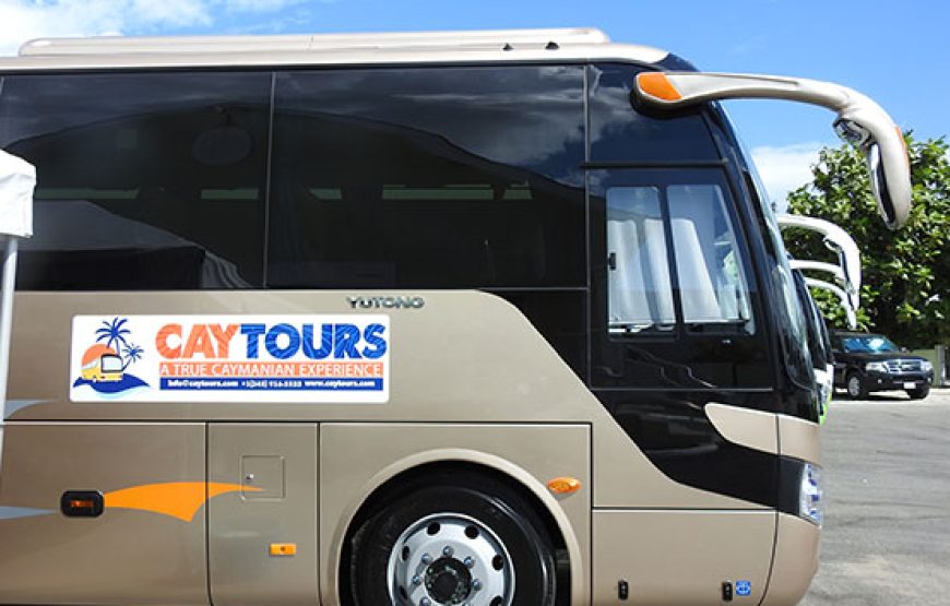 Cayman Party Bus