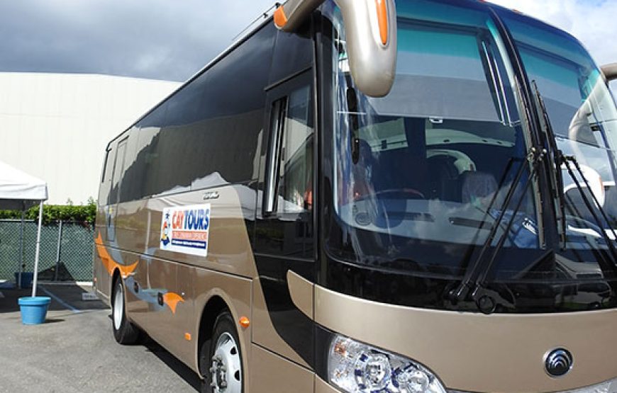 Cayman Party Bus