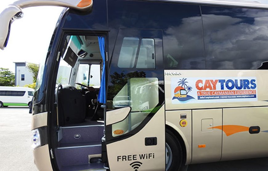 Cayman Party Bus