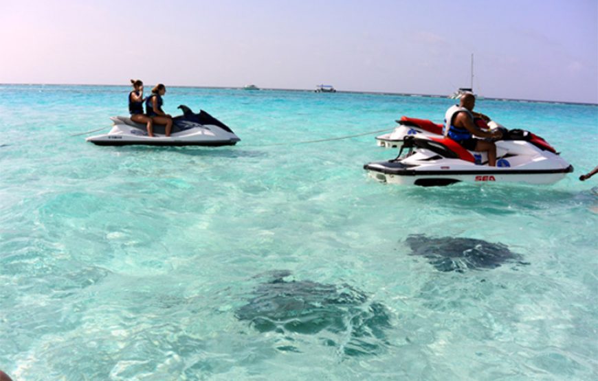 3 Stop Stingray City Tour