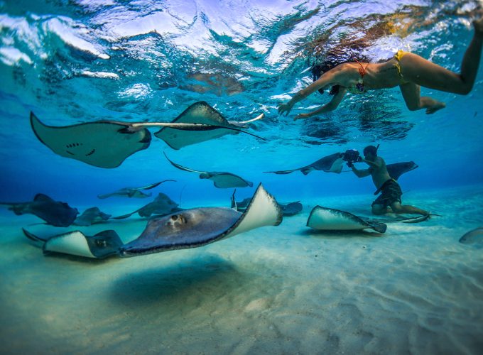 A true Caymanian experience.