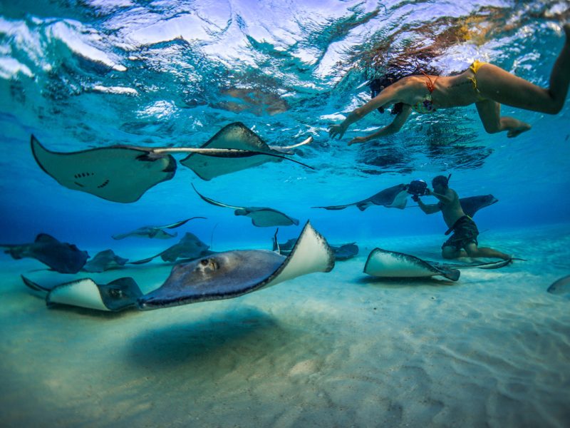 A true Caymanian experience.