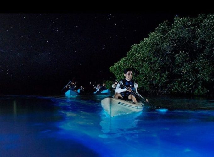 A true Caymanian experience.