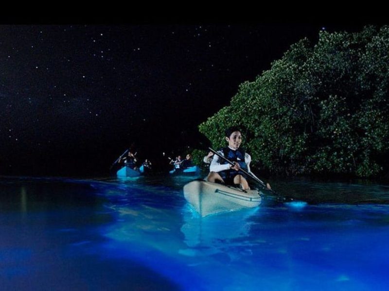 A true Caymanian experience.