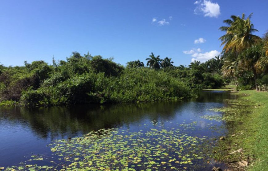 Full Grand Cayman Island Group Tour