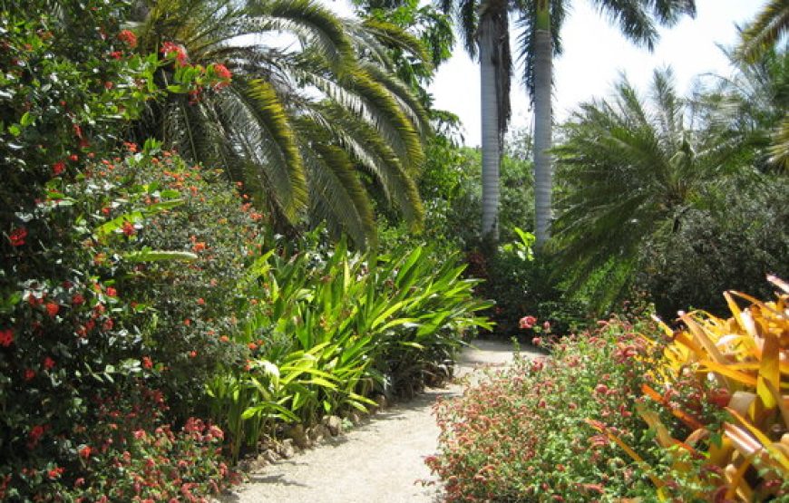 Pedro St. James and Queen Elizabeth II Botanical Gardens