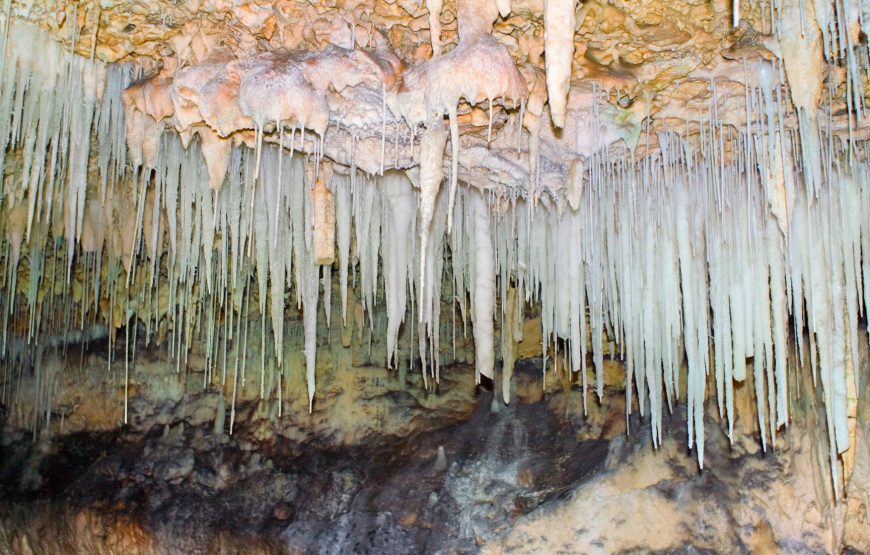 Cayman Crystal Caves & Pedro St James / Queen Elizabeth II Botanical Gardens Tour