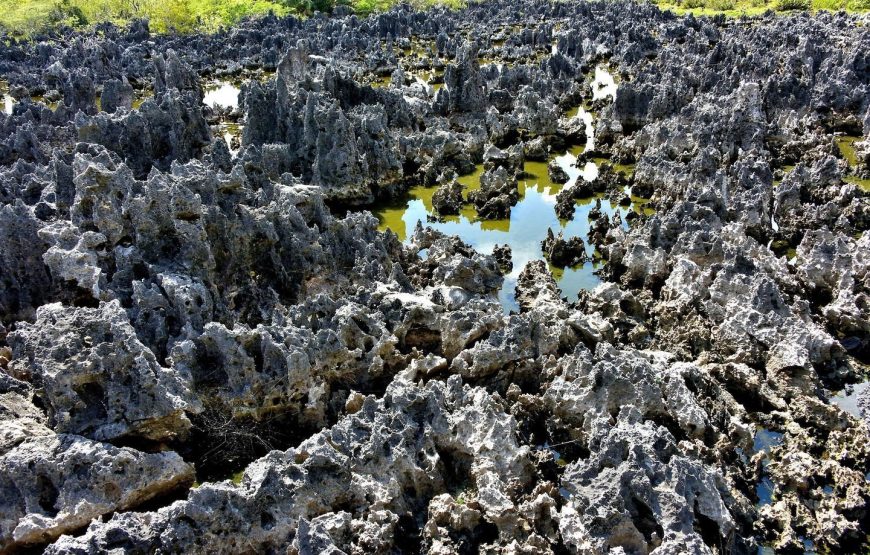 Full Island Tour of Grand Cayman