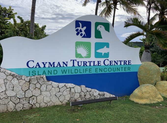 A true Caymanian experience.