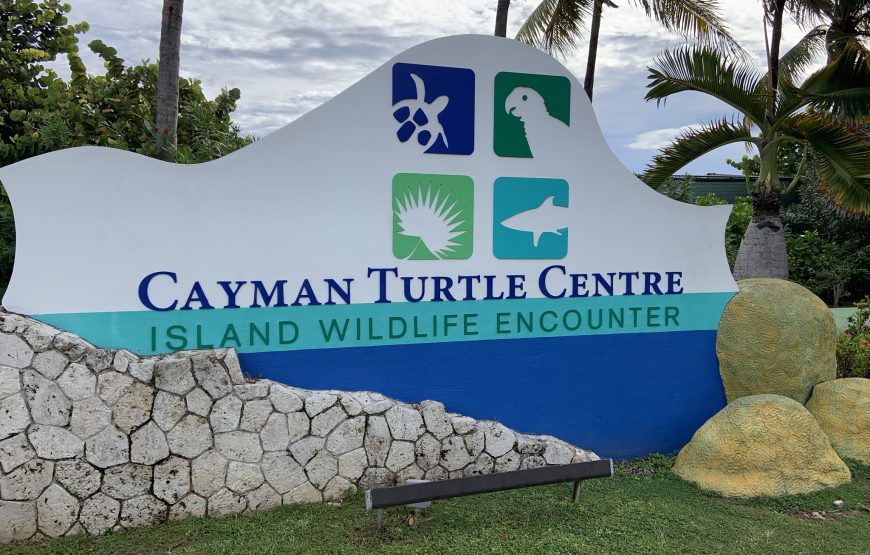 Full Island Tour of Grand Cayman