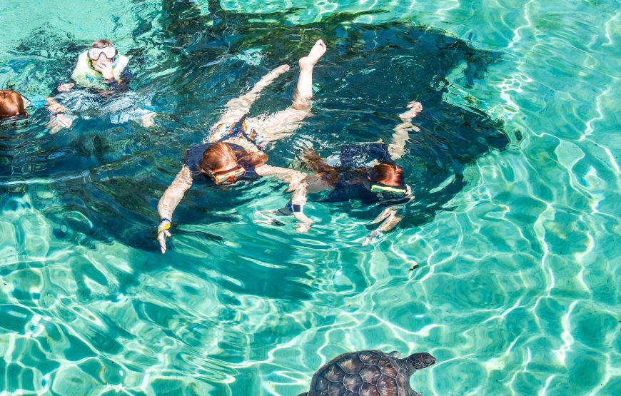 Full Grand Cayman Island Group Tour