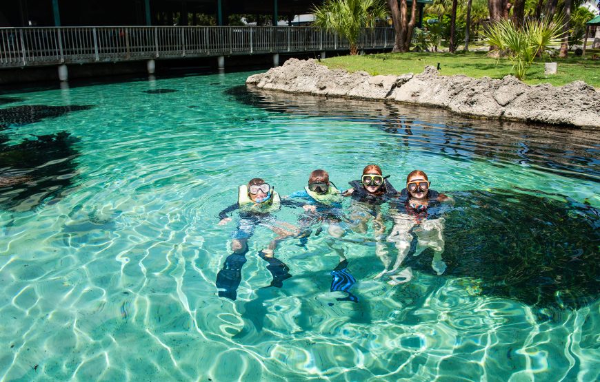 Full Grand Cayman Island Group Tour