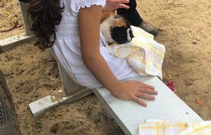 Cayman Parrot Sanctuary