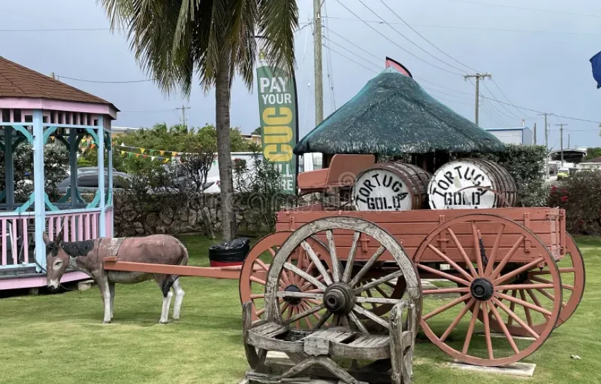 East End Tour of Grand Cayman